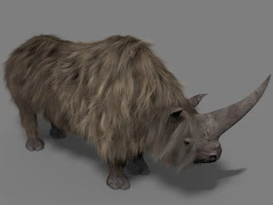 3d wooly elasmotherium rhino 3D Model