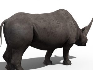 3d wooly elasmotherium rhino 3D 模型