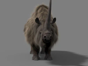3d wooly elasmotherium rhino 3D Model