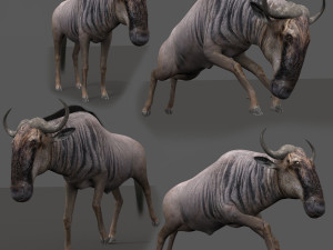 wildebeest pro 3D Model