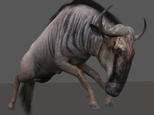 wildebeest pro 3D Model