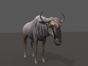 wildebeest pro 3D Model