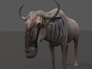 wildebeest pro 3D Model