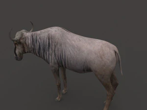 वाइल्डबीस्ट प्रो 3D मॉडल