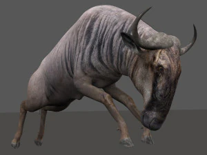 वाइल्डबीस्ट प्रो 3D मॉडल