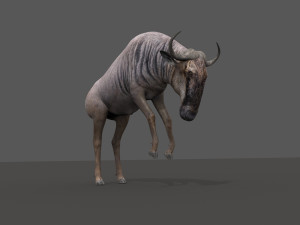 wildebeest pro 3D Model