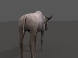 wildebeest pro 3D Model