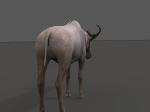 वाइल्डबीस्ट प्रो 3D मॉडल