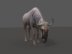 वाइल्डबीस्ट प्रो 3D मॉडल