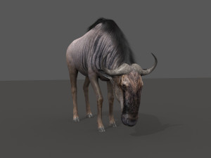 wildebeest pro 3D Model