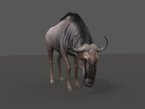 वाइल्डबीस्ट प्रो 3D मॉडल