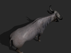 wildebeest pro 3D Model