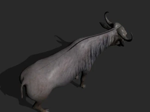 वाइल्डबीस्ट प्रो 3D मॉडल