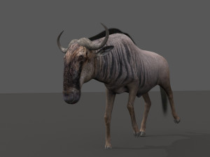 wildebeest pro 3D Model
