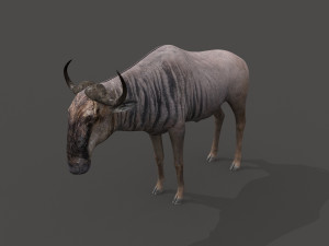 wildebeest pro 3D Model