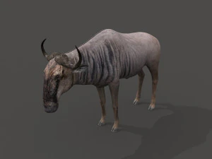 वाइल्डबीस्ट प्रो 3D मॉडल