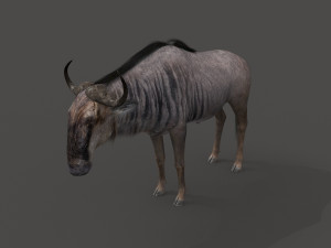 wildebeest pro 3D Model