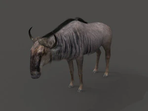 वाइल्डबीस्ट प्रो 3D मॉडल