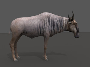 wildebeest pro 3D Model