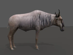 वाइल्डबीस्ट प्रो 3D मॉडल