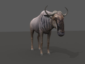 wildebeest pro 3D Model