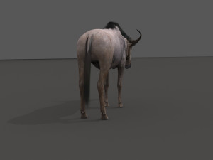 wildebeest pro 3D Model