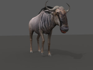 wildebeest pro 3D Model