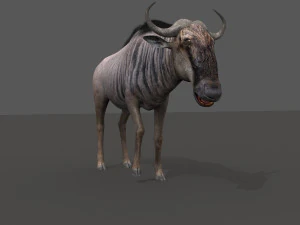 वाइल्डबीस्ट प्रो 3D मॉडल