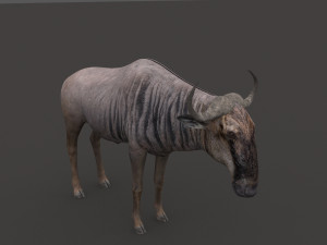 wildebeest pro 3D Model