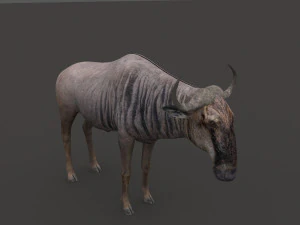 वाइल्डबीस्ट प्रो 3D मॉडल