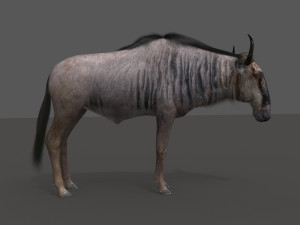 wildebeest pro 3D Model