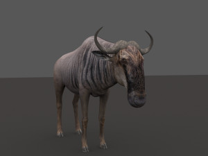 wildebeest pro 3D Model