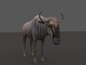 वाइल्डबीस्ट प्रो 3D मॉडल