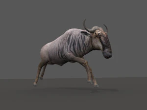 वाइल्डबीस्ट प्रो 3D मॉडल