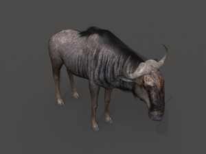wildebeest pro 3D Model