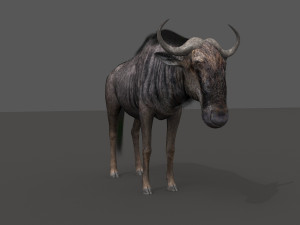 wildebeest pro 3D Model