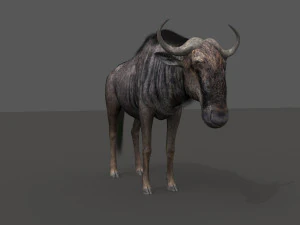 वाइल्डबीस्ट प्रो 3D मॉडल