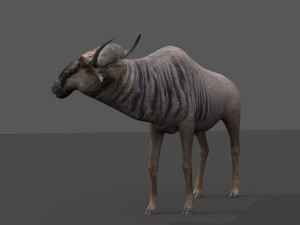 wildebeest pro 3D Model
