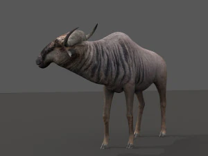 वाइल्डबीस्ट प्रो 3D मॉडल