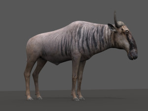 wildebeest pro 3D Model