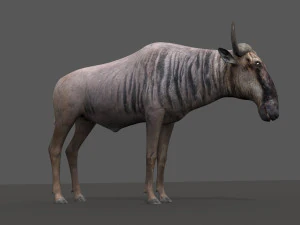 वाइल्डबीस्ट प्रो 3D मॉडल