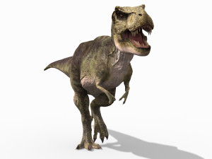the t rex - 8k 3D 모델