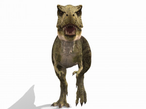 the t rex - 8k 3D 모델