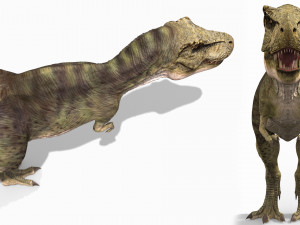 the t rex - 8k 3D 모델