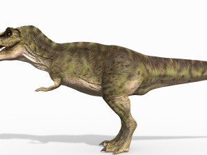 the t rex - 8k 3D 모델