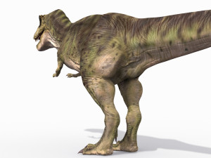 the t rex - 8k 3D 모델