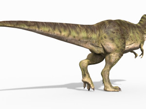 the t rex - 8k 3D 모델