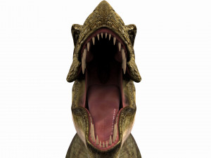 the t rex - 8k 3D 모델