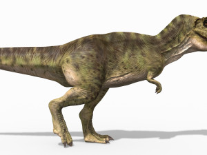 the t rex - 8k 3D 모델