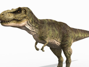 the t rex - 8k 3D 모델